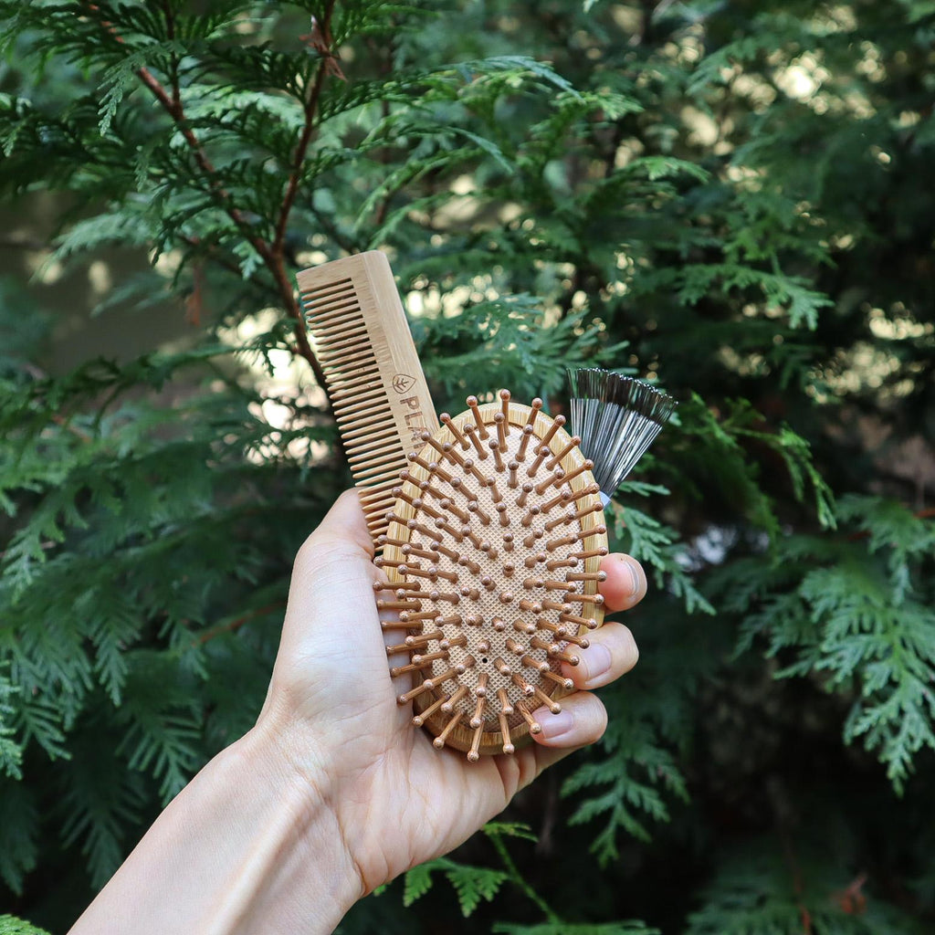 Conjunto de escova de cabelo de bambu para viagem
